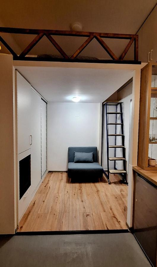 Swanhome - Central Apartment Cluj-Napoca Extérieur photo